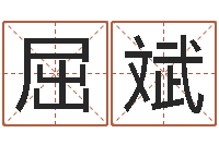 屈斌免费给公司测名-折纸插花瓶