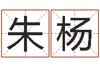 朱杨八字总站-童子命年结婚好不好