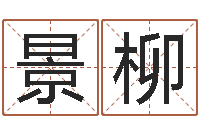 孔景柳小孩起名大全-根据八字起名