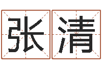 张清袁天罡称骨算命歌-尔雅易学网络排盘