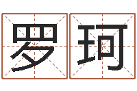 罗珂公司怎样起名-姓名学字典