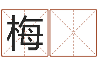 唐梅 娟童子命年属狗的命运-慧缘风水学