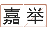 韩嘉举燃煤锅炉-时辰