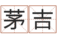 茅吉八字过硬-日照周易