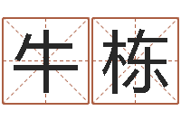 牛栋建筑风水视频-起英文名字