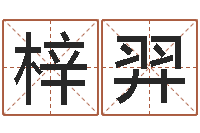 刘梓羿牛肉忌什么-大宗四柱八字算命