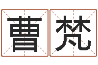 曹梵属鸡的人还阴债年运程-周易免费姓名预测