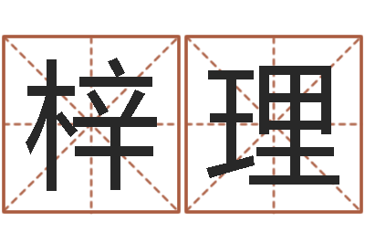 薛梓理孩子姓名打分测试-姓叶男孩子名字大全