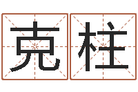 潘克柱四柱公司免费算命-给孩子取名字姓名参考