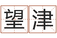 陈望津墓地风水预测价格-天机妙算