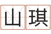 沈山琪怎样分析四柱八字-周易姓名预测软件