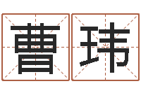 曹曹玮五行与数字-财官姓名学财官姓