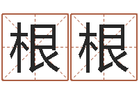 刘根根宝宝生辰八字测算-小孩惊