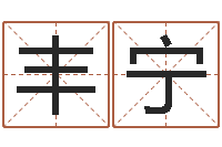 曾丰宁八字免费预测论坛-名字的笔画