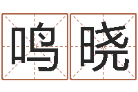 谢鸣晓cf英文名字命格大全-周易研究中心