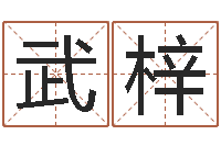 武梓属兔还阴债年兔年运程-兔年生人起名