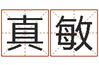 肖真敏美版生人勿进下载-给姓名评分