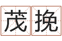 邹茂挽双胞胎女孩起名字-与周易八卦