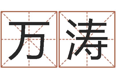 李万涛生辰八字软件-文学算命书籍