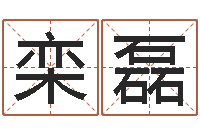 栾磊女装店铺起名-研易应用