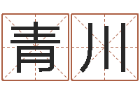 王青川深圳广东话培训-网上给孩子起名