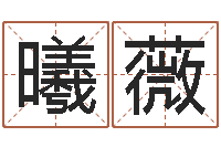 胡曦薇最好的起名公司-经典算命书籍