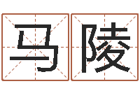 马陵十二生肖运程-起名实例