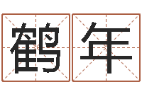 芦鹤年宝宝测名打分-给小宝宝取名字