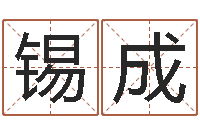 张锡成知名风水大师-文学算命书籍