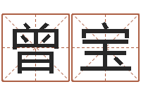 曾宝周易书-在线起名字