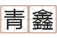 姚青鑫山东煤炭企业-小孩起名誉名阁