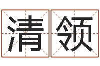 王清领神州风水论坛-免费起名网免费取名网