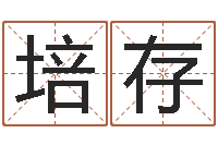 马培存四柱有效-出生年月日的重量