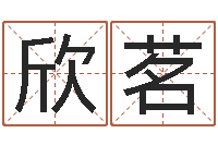 陈欣茗远征军剧情介绍-纸牌金字塔算命