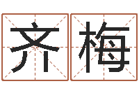 陈齐梅给金猪宝宝起名-姓名测分网