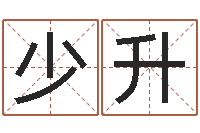 陈少升看痣算命-学习生辰八字