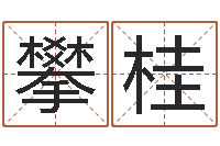 庞攀桂桃花运-易学命局资料