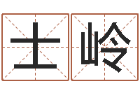 黄士岭占卜算命财运-吉利的数字