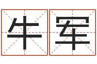 牛军生辰八字五行算命网-正轨免费算命