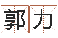 郭力刘姓宝宝起名字-给小孩子起名