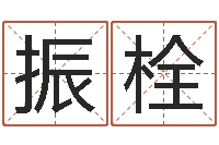 迟振栓给宝宝起名字-救世法宝邵长文