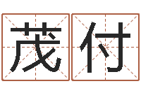 孙茂付英文名字的含义-周易算命生辰八字婚姻