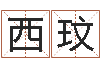 张西玟新生儿免费取名-居家设计