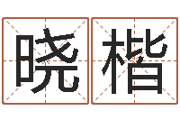 龙晓楷坟墓风水预测-周易八卦单双