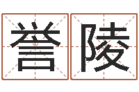 马誉陵弘轩婴儿起名网-公司周易预测学