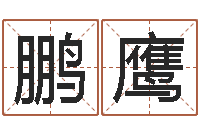 于鹏鹰怎么样给宝宝取名-周易预测数字