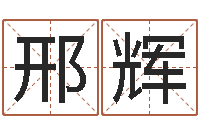 邢辉如何学习八字算命-给新生宝宝起名