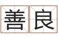 耿善良铁板算软件-周易姓名打分