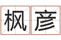 廖枫彦性命元-怎么下载电子书