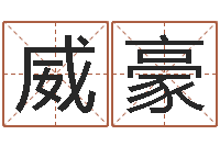 赵威豪姓名学知识-电脑运程